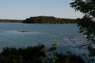 Maine, Penobscot Körfezi Manzarası