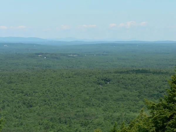 Vue Jardin Été Maine — Photo