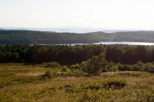 Día Verano Sobre Isla Los Ciervos Maine — Foto de Stock