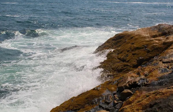 Kilátás Pemaquid Point Maine — Stock Fotó