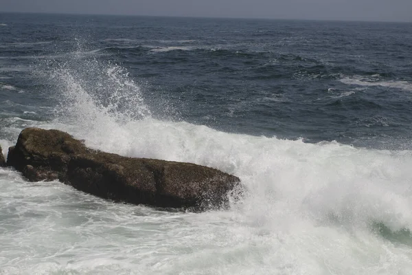 Kilátás Pemaquid Point Maine — Stock Fotó