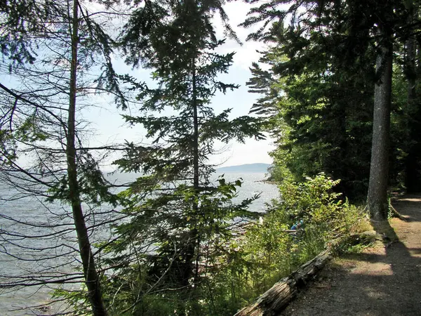 Uitzicht Penobscot Bay Maine — Stockfoto