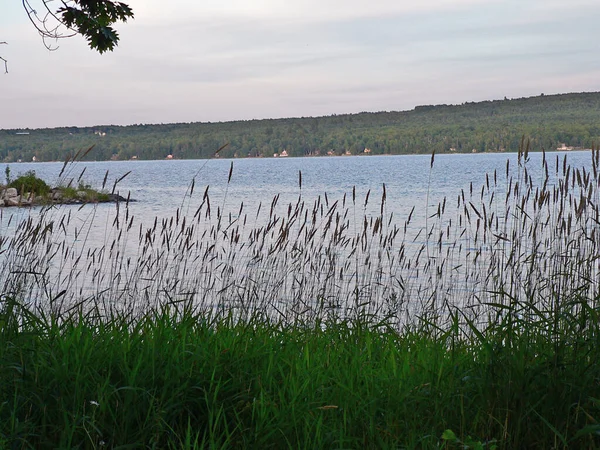Vues Autour Lac Des Cygnes Dans Maine — Photo