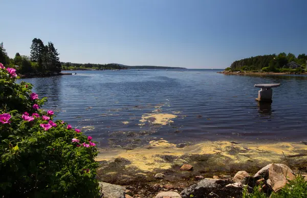Utsikt Över Vinterhamnen Maine — Stockfoto
