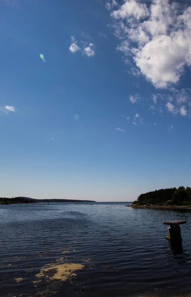 Utsikt Över Vinterhamnen Maine — Stockfoto