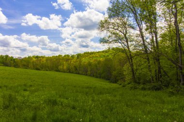 Ohio 'daki Amish Ülkesi manzarası