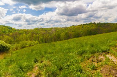 Ohio 'daki Amish Ülkesi manzarası