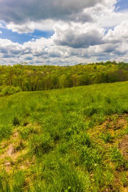 Ohio 'daki Amish Ülkesi manzarası