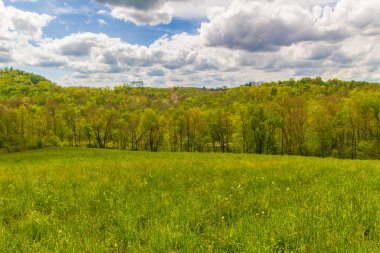 Ohio 'daki Amish Ülkesi manzarası