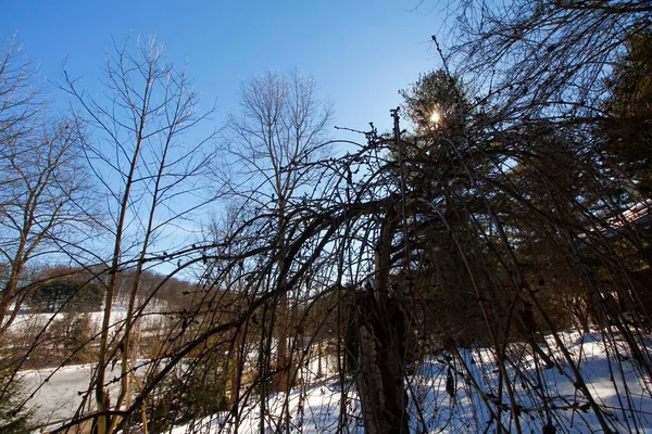 Widok Kraj Amiszów Ohio — Zdjęcie stockowe