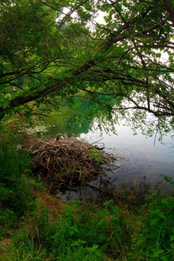 Kunduz Locası, Antrim Lake Park, Columbus, Ohio