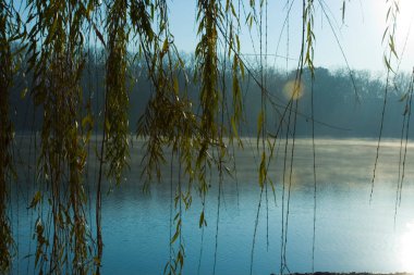 Antrim Gölü Parkı, Columbus, Ohio
