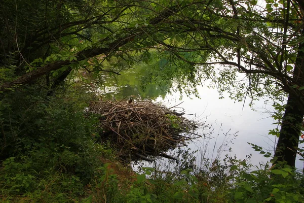 Beaver Lodge Antrim Lake Park Columbus Ohio — Fotografia de Stock