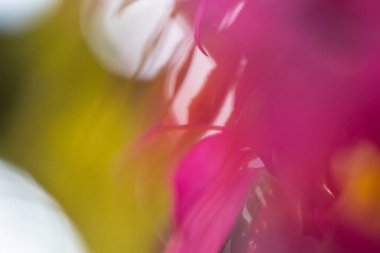 Ohio 'da Renkli Sonbahar Sahneleri