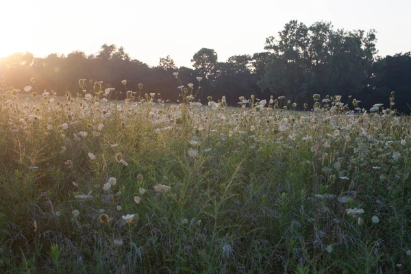 Battelle Darby Creek Metro Park Οχάιο — Φωτογραφία Αρχείου