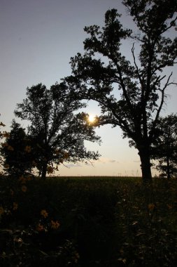 Bigelow Mezarlığı Eyalet Doğa Koruma Alanı, Ohio