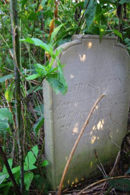 Bigelow Mezarlığı Eyalet Doğa Koruma Alanı, Ohio