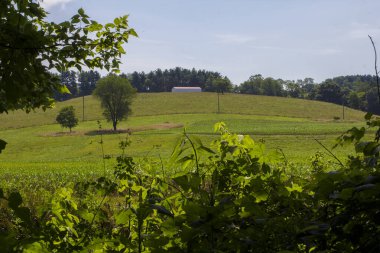 Ohio 'daki Buckhorn Creek Patikası manzarası