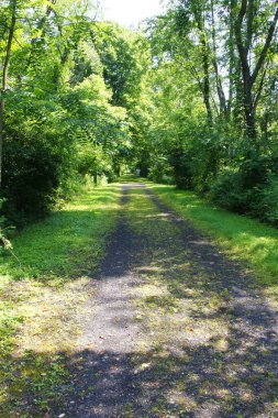 Ohio 'daki Buckhorn Creek Patikası manzarası