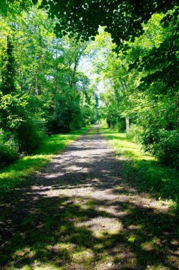 Ohio 'daki Buckhorn Creek Patikası manzarası