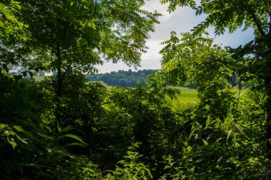 Ohio 'daki Buckhorn Creek Patikası manzarası