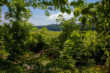 Ohio 'daki Buckhorn Creek Patikası manzarası