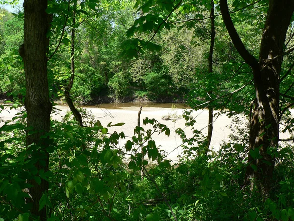 Rezerwat Przyrody Blackhand Gorge State Ohio — Zdjęcie stockowe