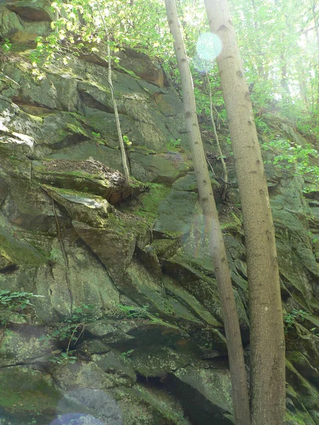 Blackhand Gorge State Nature Preserve Ohio — Stockfoto