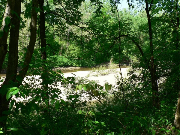 Blackhand Gorge State Nature Preserve Ohio — Fotografia de Stock