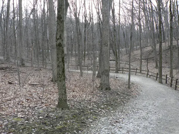 Blendon Woods Metro Park Columbus Ohio — Stockfoto