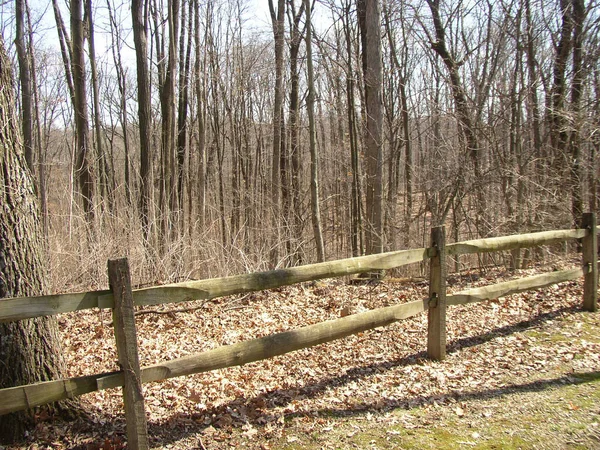 Blendon Woods Metro Park Columbus Οχάιο — Φωτογραφία Αρχείου