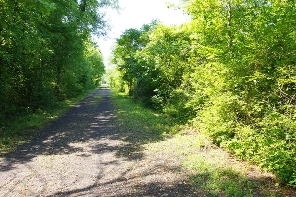 Widok Buckhorn Creek Trail Ohio — Zdjęcie stockowe
