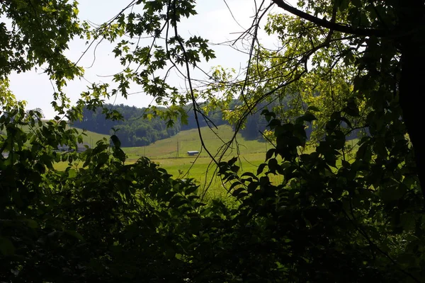 View Buckhorn Creek Trail Ohio — стоковое фото