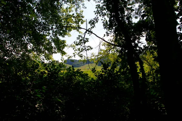 Uitzicht Buckhorn Creek Trail Ohio — Stockfoto