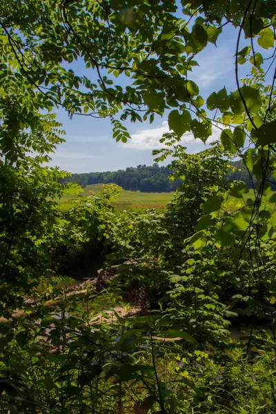 Vistas Del Sendero Buckhorn Creek Ohio — Foto de Stock