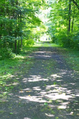 Ohio 'daki Buckhorn Creek Patikası manzarası