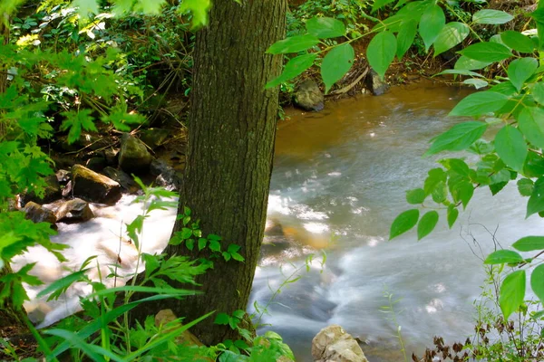 Blick Auf Den Buckhorn Creek Trail Ohio — Stockfoto