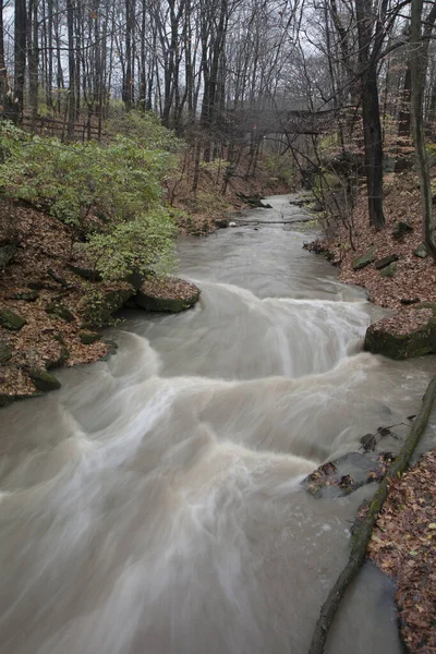 David Fortier River Park Olmstead Falls Ohio — Foto de Stock