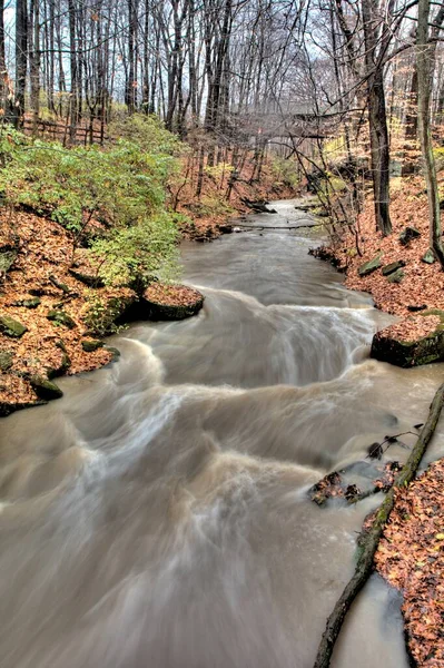 David Fortier River Park Olmstead Falls Ohio — Fotografia de Stock