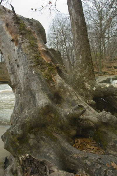 David Fortier River Park Olmstead Falls Ohio — Foto de Stock