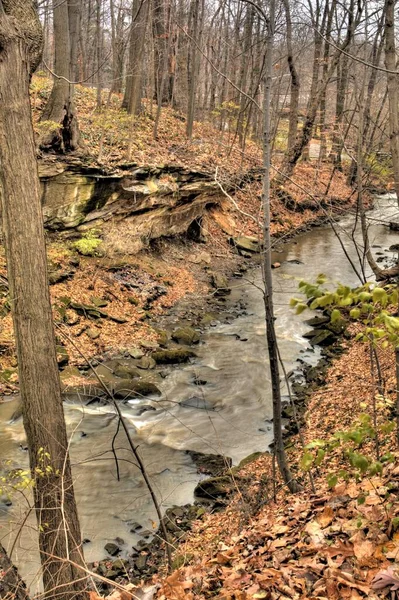 David Fortier River Park Olmstead Falls Ohio — 스톡 사진