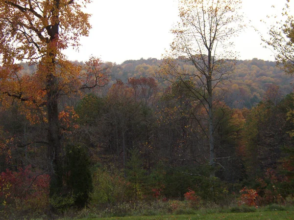 Clear Creek Metro Park Ohio — Stock Photo, Image