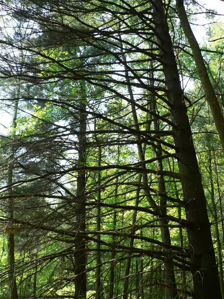 Clear Creek Metro Park Ohio — Stock Photo, Image