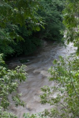 Clifton Gorge Eyalet Doğa Koruma Alanı, Yellow Springs, Ohio