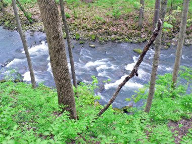 Clifton Gorge Eyalet Doğa Koruma Alanı, Yellow Springs, Ohio