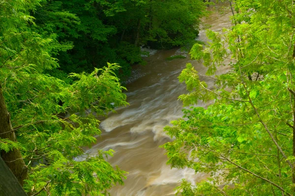 Rezerwat Przyrody Clifton Gorge State Yellow Springs Ohio — Zdjęcie stockowe