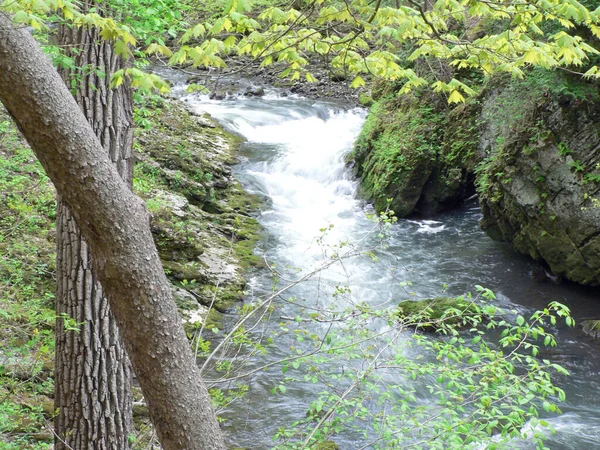 Clifton Gorge State Nature Preserve Yellow Springs Ohio — Stock Photo, Image