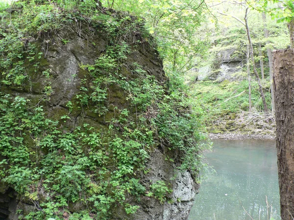Clifton Gorge State Nature Preserve Yellow Springs Ohio — Fotografia de Stock