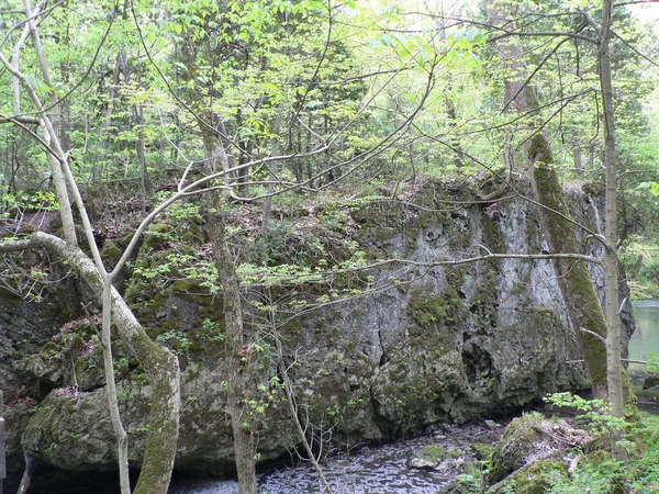 Clifton Gorge State Nature Preserve Yellow Springs Οχάιο — Φωτογραφία Αρχείου