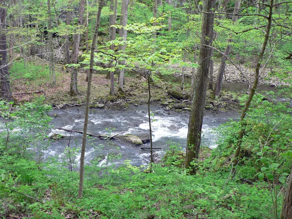 Clifton Gorge State Nature Preserve Yellow Springs Ohio — стокове фото